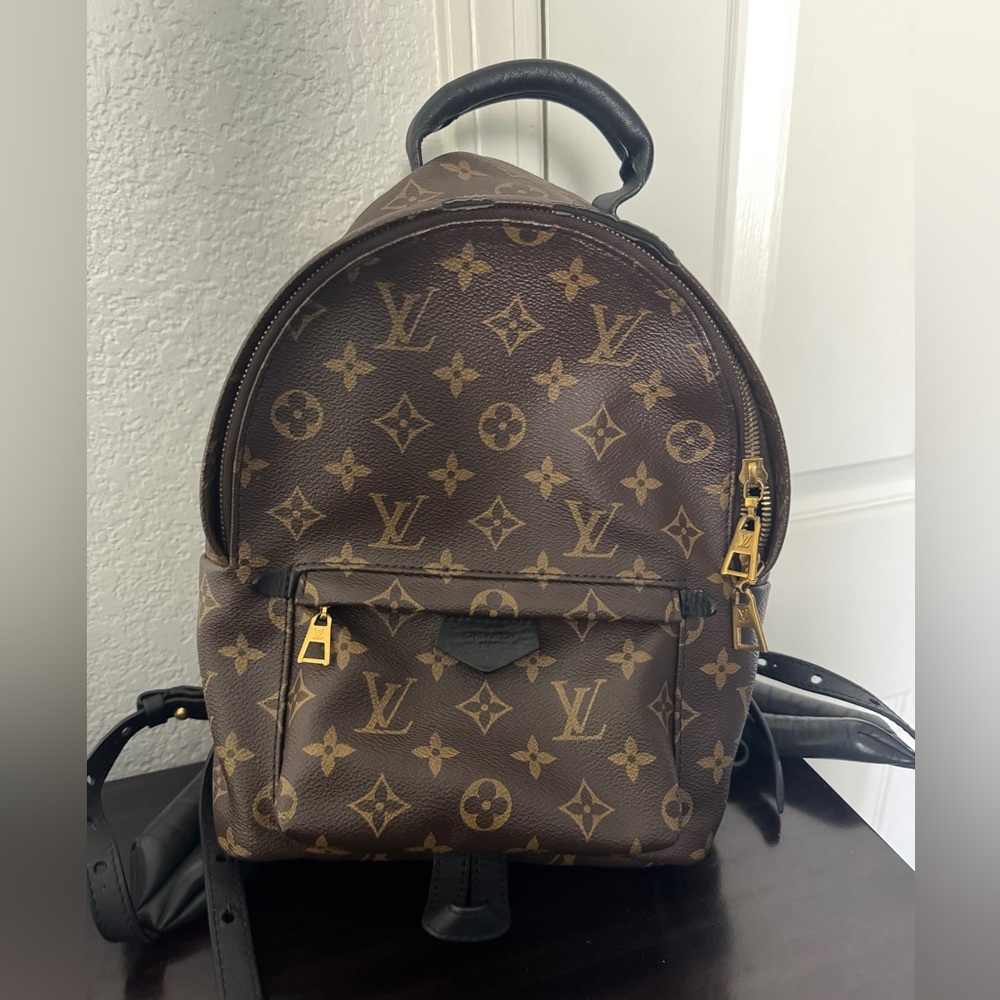 Louis Vuitton monogram canvas Palm Springs PM backpack